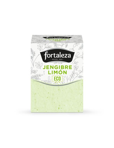 Infusión Jengibre Limón Eco 15 pirámides
