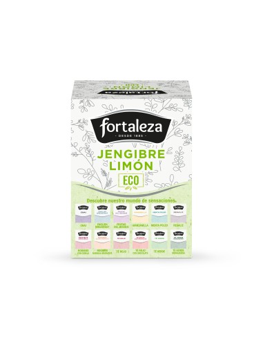 Infusión Jengibre Limón Eco 15 pirámides